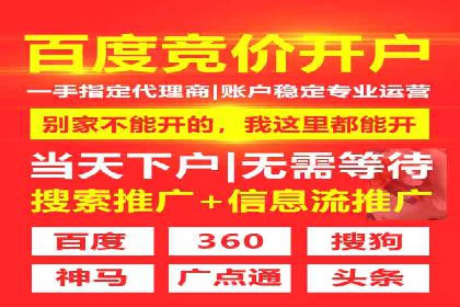 sem百度竞价实战：成功案例解析